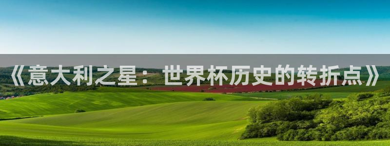 世界杯球队:《意大利之星:世界杯历史的转折点》