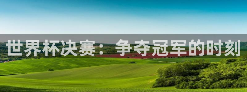 2026世界杯官网:世界杯决赛:争夺冠军的时刻