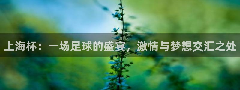2026世界杯亚洲预选赛:上海杯:一场足球的盛宴,激情与梦想交汇之处