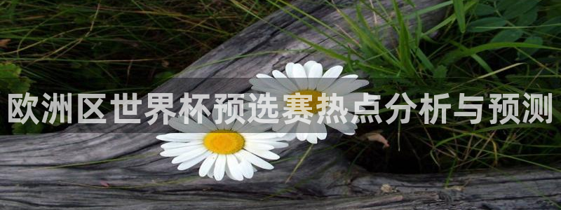 世界杯预选赛亚洲区积分榜:欧洲区世界杯预选赛热点分析与预测