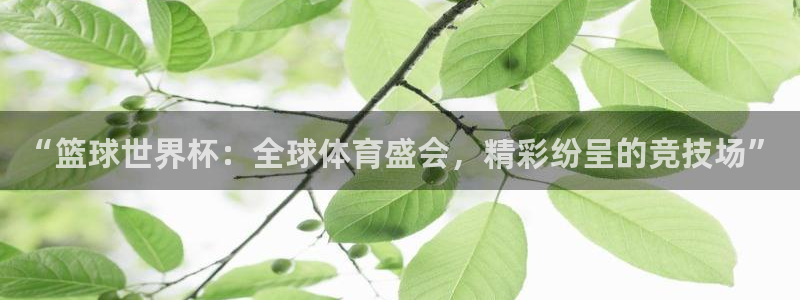 2026世界杯小组赛赛程时间表:“篮球世界杯:全球体育盛会,精彩纷呈的竞技场”