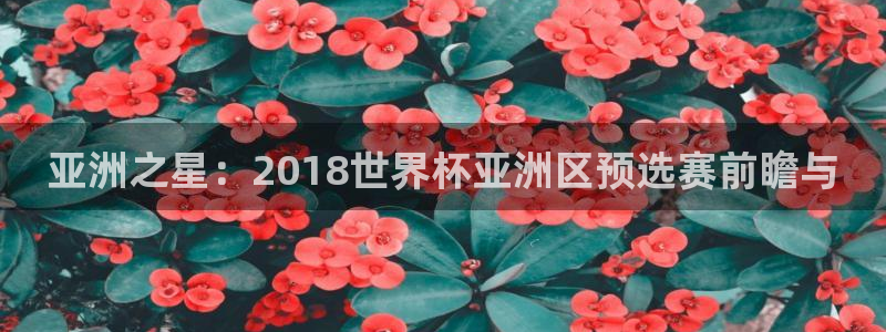 世界杯系列赛:亚洲之星:2018世界杯亚洲区预选赛前瞻与